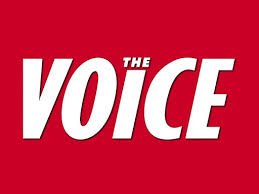 Voice Logo